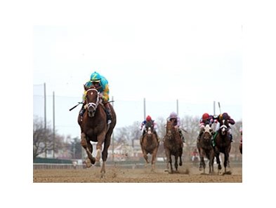 Eskendereya moves to No. 1 on this week's NTRA poll of top 3-Year-Olds.<br><a target="blank" href="http://www.bloodhorse.com/horse-racing/photo-store?ref=http%3A%2F%2Fpictopia.com%2Fperl%2Fgal%3Fprovider_id%3D368%26ptp_photo_id%3D8874555%26ref%3Dstory">Order This Photo</a>
