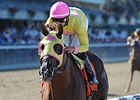 Belle Gallantey wmakes her second start of 2015 on Saturday, Jan. 31, in the Ladies Handicap.<br><a target="blank" href="http://photos.bloodhorse.com/AtTheRaces-1/At-the-Races-2014/i-VXkkPBd">Order This Photo</a>