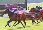 Irish Derby winner Treasure Beach is favored in the Secretariat Stakes.<br><a target="blank" href="http://www.bloodhorse.com/horse-racing/photo-store?ref=http%3A%2F%2Fpictopia.com%2Fperl%2Fgal%3Fprovider_id%3D368%26ptp_photo_id%3D9629984%26ref%3Dstory">Order This Photo</a>