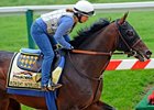 Midnight Interlude<br><a target="blank" href="http://www.bloodhorse.com/horse-racing/photo-store?ref=http%3A%2F%2Fpictopia.com%2Fperl%2Fgal%3Fprovider_id%3D368%26ptp_photo_id%3D9532048%26ref%3Dstory">Order This Photo</a>