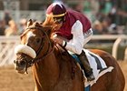 Out of Bounds makes his comeback in the Longines Al Maktoum Challenge Round I.