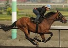 Strait of Dover comes into the Queen's Plate having won 3 in a row.