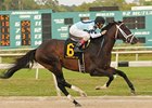 Tampa Bay Derby winner Verrazano has post 8 in the Wood Memorial.