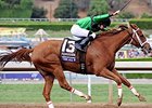 BC Sprint Winner Work All Week Returns at CD BC Sprint Winner Work All Week Returns at CD