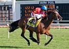 Dank rolls to victory in the Beverly D. Stakes.