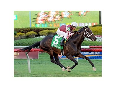 Rydilluc wins the Palm Beach Stakes.