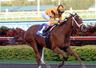 Game Face makes her 4-year-old debut in the First Lady Handicap.<br><a target="blank" href="http://www.bloodhorse.com/horse-racing/photo-store?ref=http%3A%2F%2Fpictopia.com%2Fperl%2Fgal%3Fprovider_id%3D368%26ptp_photo_id%3D3277567%26ref%3Dstory">Order This Photo</a>