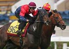 Good Ba Ba Horse of Year in Hong Kong Good Ba Ba Horse of Year in Hong Kong