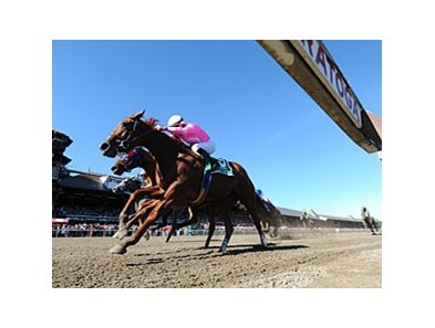 Sweet Lulu won the Test Stakes by a head at Saratoga this summer.<br><a target="blank" href="http://photos.bloodhorse.com/AtTheRaces-1/at-the-races-2013/27257665_QgCqdh#!i=2722693944&k=GLBd4Fc">Order This Photo</a>