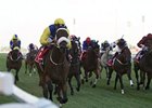 Shea Shea won the Meydan Sprint by 2 1/2 lengths.