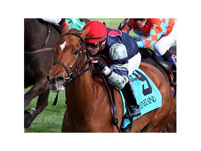 Sweet Cassiopeia won the 2013 Giant's Causeway Stakes.