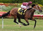 The Orchid Handicap (gr. IIIT) goes to the five-year-old mare Hostess, who won her first graded stakes in the process.