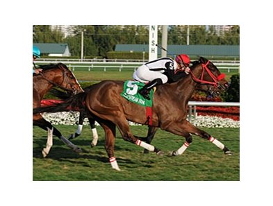Teaks North faces 7 in the Florida Sunshine Millions Turf Stakes.