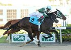 Watch Me Go outfinished fellow longshot Crimson Knight to win the Tampa Bay Derby.