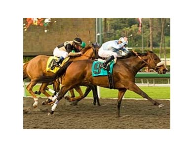 Life is Sweet reaches for the finish in the La Canada Stakes at Santa Anita. <br><a target="blank" href="http://www.bloodhorse.com/horse-racing/photo-store?ref=http%3A%2F%2Fgallery.pictopia.com%2Fbloodhorse%2Fgallery%2F69713%2Fphoto%2F7756080%2F%3Fo%3D0">Order This Photo</a>