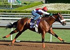 Bronzo Vying for First U.S. Win in Tokyo City Bronzo Vying for First U.S. Win in Tokyo City