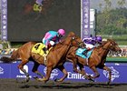 Man of Iron (right) takes the Marathon by a nose over Cloudy's Knight. <br><a target="blank" href="http://www.bloodhorse.com/horse-racing/photo-store?ref=http%3A%2F%2Fpictopia.com%2Fperl%2Fgal%3Fprovider_id%3D368%26ptp_photo_id%3D8609279%26ref%3Dstory">Order This Photo</a>