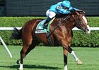 Red-Hot Get Stormy Scores Again in 'Baruch Red-Hot Get Stormy Scores Again in 'Baruch