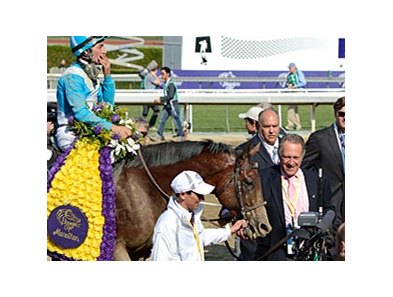 Calidoscopio hasn't run since winning the Breeders' Cup Marathon on November 2.
<br><a target="blank" href="http://photos.bloodhorse.com/BreedersCup/2012-Breeders-Cup/Marathon/26130229_MsH7Ls#!i=2192124653&k=gRdShFV">Order This Photo</a>