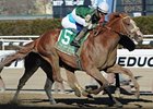 Declan's Warrior flies late to win the Bay Shore Stakes.