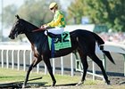 Never Retreat
<br><a target="blank" href="http://www.bloodhorse.com/horse-racing/photo-store?ref=http%3A%2F%2Fpictopia.com%2Fperl%2Fgal%3Fprovider_id%3D368%26ptp_photo_id%3D9702006%26ref%3Dstory">Order This Photo</a>
