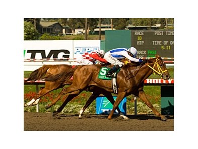 Triple Bend winner Street Boss faces 2007 Bing Crosby Handicap winner In Summation in this year's Bing Crosby.<br><a target="blank" href="http://www.bloodhorse.com/horse-racing/photo-store?ref=http%3A%2F%2Fpictopia.com%2Fperl%2Fgal%3Fprovider_id%3D368%26ptp_photo_id%3D5033316%26ref%3Dstory">Order This Photo</a>