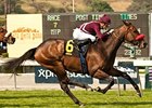 Tiz Flirtatious Flies Home in Santa Ana Tiz Flirtatious Flies Home in Santa Ana