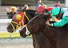 Ducduc outside and Csaba finish in a dead heat in the Fred W. Hooper Handicap.