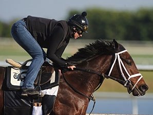 Uncle Mo Narrow Choice on First Day of KDFW Uncle Mo Narrow Choice on First Day of KDFW