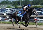 Incognito jogs at Belmont Park.