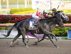 Hymn Book Survives in Thrilling Donn Handicap Hymn Book Survives in Thrilling Donn Handicap