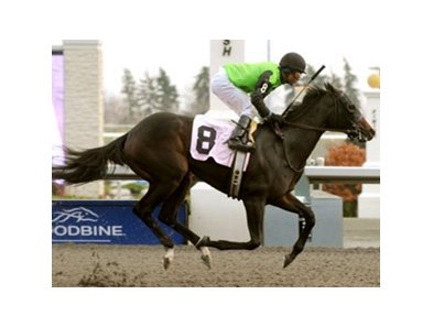 Cascading returned to the winner's circle as she captured the Glorious Song Stakes at Woodbine.