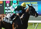 King Kreesa drew post 11 in a field of 14 in the Hong Kong Mile.<br><a target="blank" href="http://photos.bloodhorse.com/AtTheRaces-1/at-the-races-2013/27257665_QgCqdh#!i=2548322696&k=mDDwGwZ">Order This Photo</a>
