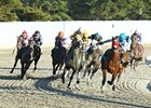 Radio Coverage Set for Delta Downs Jackpot Radio Coverage Set for Delta Downs Jackpot