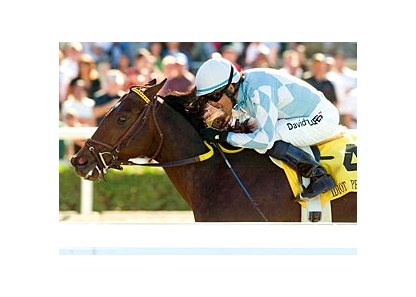 Idiot Proof, runner-up in the Breeders' Cup Sprint, faces fellow grade I winner In Summation in the El Conejo Handicap.<br><a target="blank" href="http://www.bloodhorse.com/horse-racing/photo-store?ref=http%3A%2F%2Fpictopia.com%2Fperl%2Fgal%3Fprovider_id%3D368%26ptp_photo_id%3D3158279%26ref%3Dstory">Order This Photo</a>