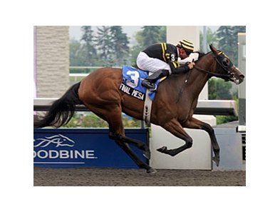Final Mesa headlines a field of eight 2-year-old fillies entered for the Sorrento Stakes.