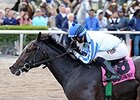 Upstart<br><a target="blank" href="http://photos.bloodhorse.com/AtTheRaces-1/At-the-Races-2015/i-9X8Kzzm">Order This Photo</a>
