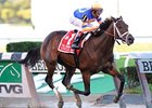Dam of Uncle Mo to Sell at F-T Ky. Dam of Uncle Mo to Sell at F-T Ky.