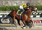 Sunrise Smarty repels all challengers in the Fall Highweight at Aqueduct.<br><a target="blank" href="http://www.bloodhorse.com/horse-racing/photo-store?ref=http%3A%2F%2Fpictopia.com%2Fperl%2Fgal%3Fprovider_id%3D368%26ptp_photo_id%3D9752610%26ref%3Dstory">Order This Photo</a>