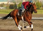 Inglorious preparing for the Oaks at Woodbine.