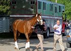 Giant Finish<br><a target="blank" href="http://photos.bloodhorse.com/TripleCrown/2013-Triple-Crown/Kentucky-Derby-Workouts/29026796_jvcnn8#!i=2489744859&k=rqd6N5c">Order This Photo</a>