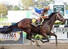 Overanalyze is one of three entrants for trainer Todd Pletcher in the Remsen.<br><a target="blank" href="http://photos.bloodhorse.com/AtTheRaces-1/at-the-races-2012/22274956_jFd5jM#!i=2120566850&k=CRnjGn3">Order This Photo</a>