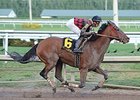 River Seven wins the Harlan's Holiday Stakes.
<br><a target="blank" href="http://photos.bloodhorse.com/AtTheRaces-1/at-the-races-2013/27257665_QgCqdh#!i=2984238802&k=8GVXnqn">Order This
Photo</a>