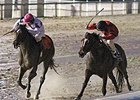 Sunbean in the Louisiana Champions Day Classic.
<br><a target="blank" href="http://photos.bloodhorse.com/AtTheRaces-1/at-the-races-2013/27257665_QgCqdh#!i=2972670561&k=gMNgkd4">Order This Photo</a>