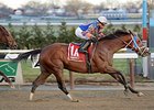 Micromanage Rallies to Win Queens County Micromanage Rallies to Win Queens County