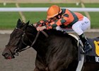 Biofuel upsets the field in the Mazarine at Woodbine.