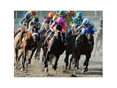 Pants on Fire in the Louisiana Derby.