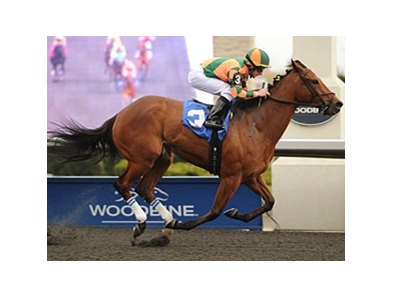 Tu Endie Wei won the Star Shoot Stakes by 5 1/2 lengths on April 14.