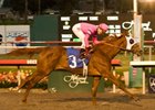 Blind Luck seeks her 4th grade I in the Santa Anita Oaks.<br><a target="blank" href="http://www.bloodhorse.com/horse-racing/photo-store?ref=http%3A%2F%2Fpictopia.com%2Fperl%2Fgal%3Fprovider_id%3D368%26ptp_photo_id%3D8710491%26ref%3Dstory">Order This Photo</a>