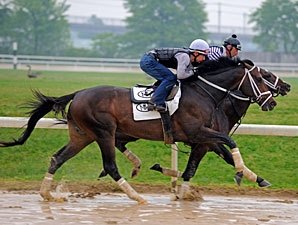 Stately Victor Shoots Training Center Bullet Stately Victor Shoots Training Center Bullet